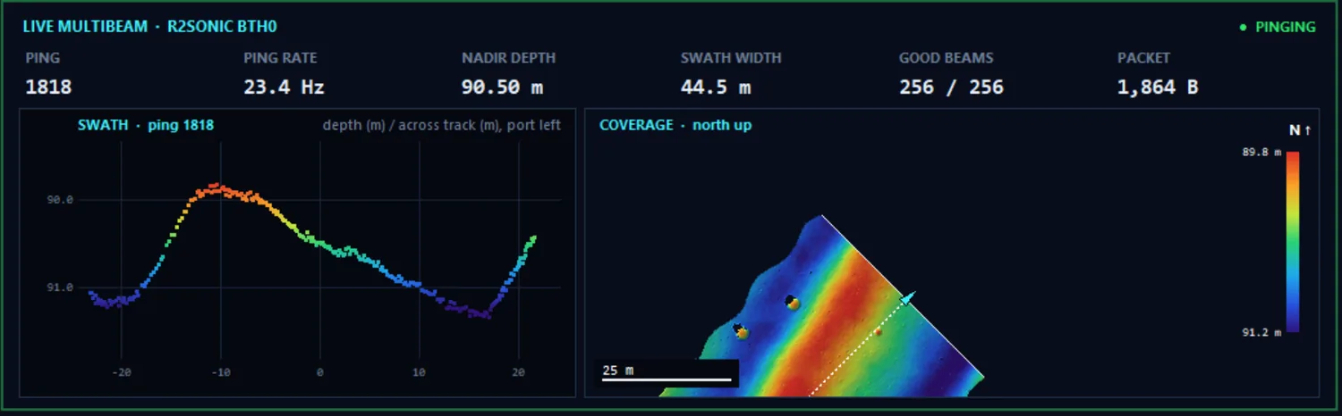 The Survey Simulator's multibeam screen